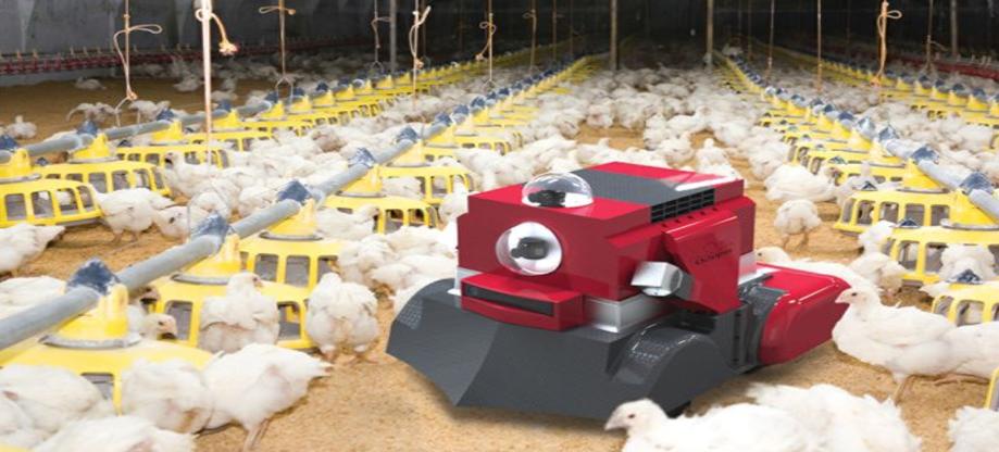 Poultry Patrol Robot, a baromfiőrző robot